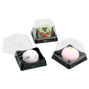 アーテック 透明作品ケース(10個組)