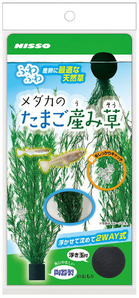 メダカの産卵に適した、浮かべても沈めても使用できる2WAY式の天然水草。 メダカの産卵に最適な天然草は、たまごをしっかりキャッチしてくれます。 沈めてレイアウトしたり、付属の浮き玉をつければ浮き草として楽しむことができます。 【材質】 シダ、セラミック 【本体サイズ】 約W25×D25×H150mm 【セット内容】 陶器製のおもり、浮き玉付き 【原産国または製造地】 中国