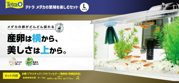 ˿ڤॻå L