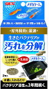 ベストバイオブロック メダカケース用 2個入