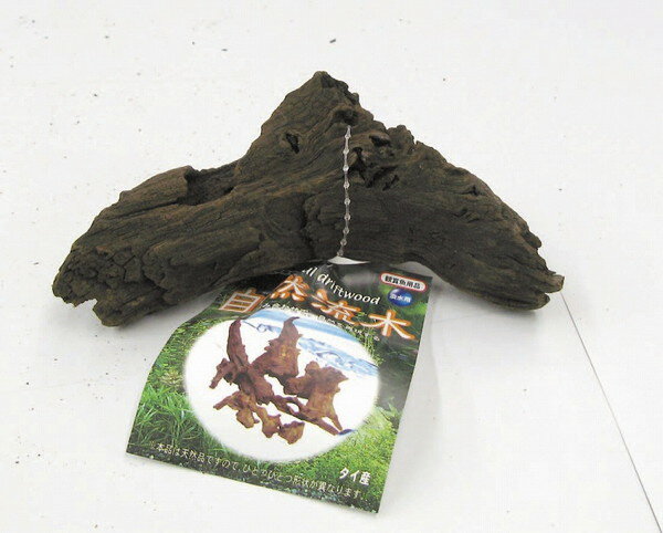 自然流木 ミニ