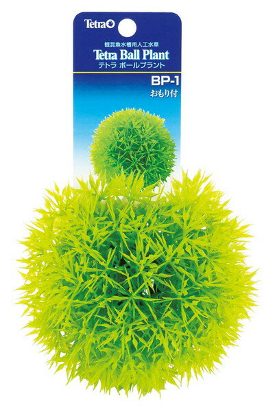 ƥȥ ܡץ BP-1