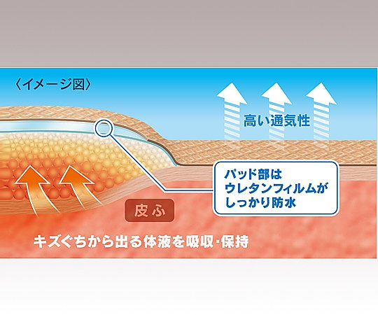 ケアリーヴ治す力(TM) 13×22mm　4987167065744