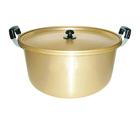 アルマイト 鍋　29.0L　4977906360421