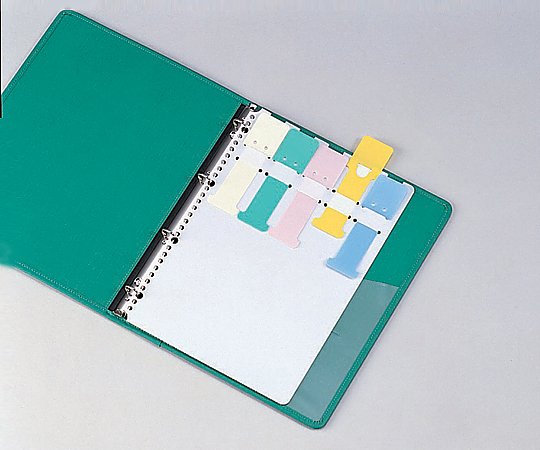 カラーシグナル A4サイズ 2・4・30穴 10枚入　SK-455 4573470485289