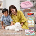 【オリジナルお世話セット】あまえんぼう子ねこちゃん 子ねこちゃん、ベッド、くし、電池10回分、特別シールのお買得セット! 4560386967848【母の日プレ...