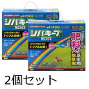 【2個セット】レインボー薬品 除草剤 シバキーププラスV 4kg 予防 肥料 芝生 雑草