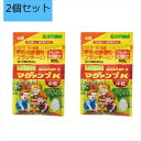 【2個セット】ハイポネックスジャパン マグァンプK 中粒 500g MAGAMP K 元肥 肥料 野菜 草花 球根