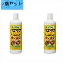 【2個セット】ハイポネックスジャパン リキダス 800ml 植物用活力剤 花 野菜