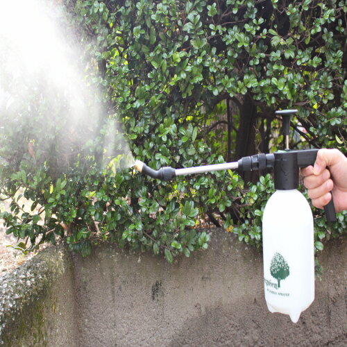 �߰������ץ졼 �ޥ������� ���󥰥������꡼�Υ�����