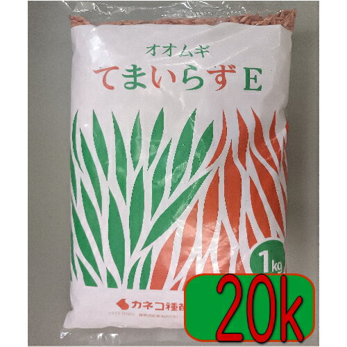 �J�l�R��c �Δ� �I�I���M �Ă܂��炸E 20kg