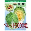 【入荷次第出荷】カネコ種苗 極意 白菜 ペレット5000粒