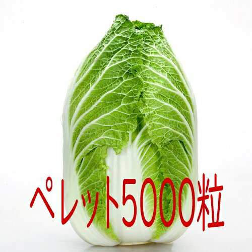 ※時期によっては出荷までにお時間を頂く場合がございます。又、季節もの、流動的な商品の為品切れの場合もございますので申し訳ございませんがその場合キャンセルさせていただきます。 ※場合によってはメーカー直送になることもございますので予めご了承ください。 特性 ●冬どり栽培に最適な、黄芯系晩生品種（90日タイプ）です。 ●耐寒性が優れ、暖冬年でも過熟になりにくいので、収穫幅が広い品種です。 ●球形、肥大力が優れ、よくそろいます。 ●外葉色は濃緑色になり、球内色は収穫期後半まで濃黄色を維持します。 ●食味、漬物適性が優れます。 ●草姿が立性なので、結束作業性が優れます。 ●芯腐れ、ごま症等の生理障害の発生が少なく、根こぶ病、べと病に強い耐病性を持ちます。 ※根こぶ病に対しては高い抵抗性を持ちますが、地域により異なるレースがあり、発病する場合もございます。あらかじめご了承ください。