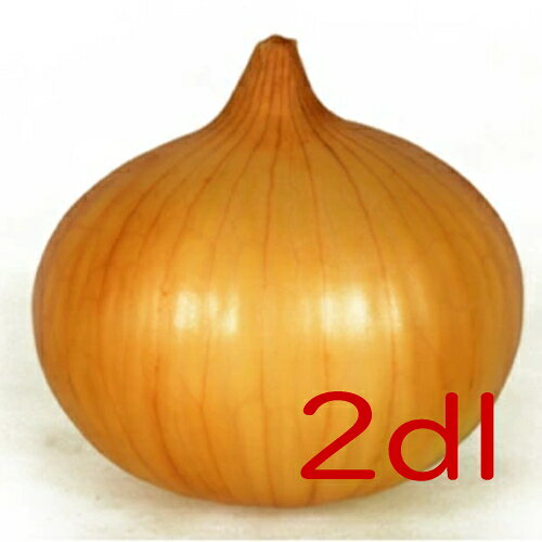 【入荷次第出荷】カネコ種苗　浜笑　玉葱　2dl