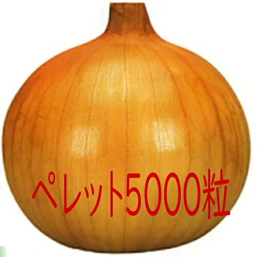 ※時期によっては出荷までにお時間を頂く場合がございます。又、季節もの、流動的な商品の為品切れの場合もございますので申し訳ございませんがその場合キャンセルさせていただきます。 ※メーカー出荷準備が整い次第、直送になりますので予めご了承ください。 ※直送品のため、他の商品と同梱、代引きはできかねます。 特性 ●暖地3月下旬から4月上旬収穫、中間地4月下旬収穫の極早生品種です。 ●草姿はやや開張性で、葉身は長く、生育は旺盛です。 ●玉は球径比（縦/横）80〜85％程度の丸〜甲高球に良くそろい、食味も良好です。 ●“貴錦”より耐寒性、耐病性に優れ、また抽苔や分球が少ないので、安定した収量を得られます。 栽培要点 ●播種期はマルチ栽培で9月15〜20日が最適ですが、栽培地の環境を考慮して調整します。 ●極早生品種ですから、玉の肥大期までに葉数をどれだけ確保できるかが良品生産のポイントです。茎葉病害の発生には注意し、予防散布を心がけましょう。また年内までにリン酸を効かせて、玉肥大期に根張りが良くなるようにします。 ●栽培適地は暖地で、マルチ栽培とします。