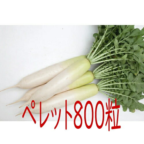 【入荷次第出荷】カネコ種苗　春大慶（KAD−201B）大根　800粒