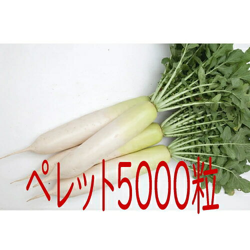 【入荷次第出荷】カネコ種苗　春大慶（KAD−201B）　大根　ペレット5000粒