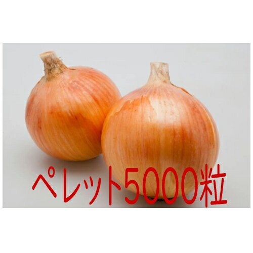 【入荷次第出荷】カネコ種苗　ヒーローZ　玉葱　ペレット5000粒
