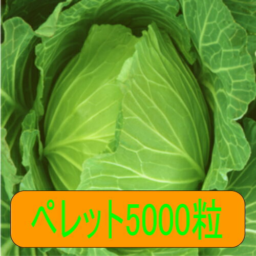【入荷次第出荷】カネコ種苗 冬くぐりキャベツ ペレット5000粒