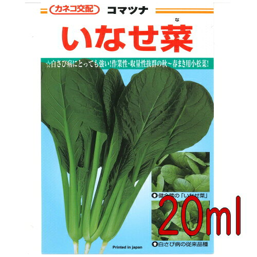 【入荷次第出荷】カネコ種苗　いなせ菜　小松菜　20ml