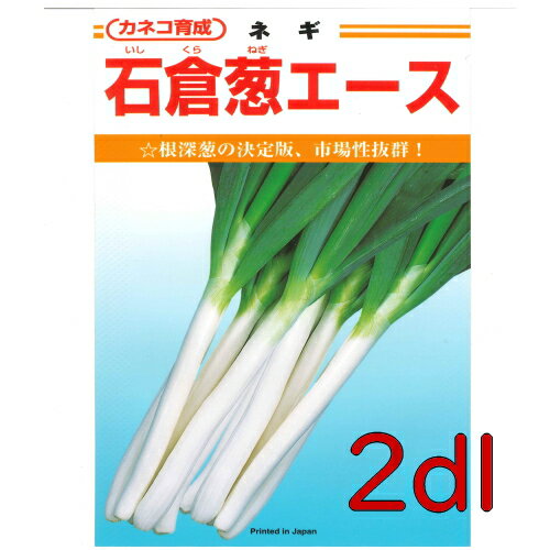 【入荷次第出荷】カネコ種苗　石倉葱エース　2dl
