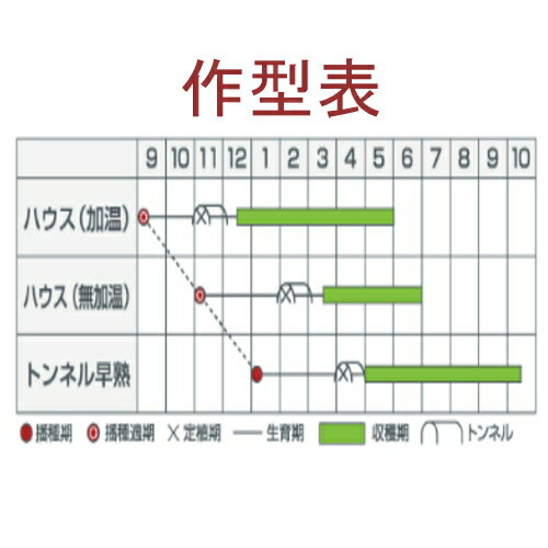 �����ټ���в١ۥ��ͥ����ġ����ٻΡ�2000γ