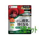 住友化学園芸 マイローズBT殺菌粒剤 500g 2個セット