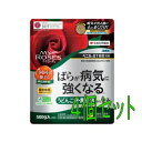 住友化学園芸 マイローズBT殺菌粒剤 500g 4個セット