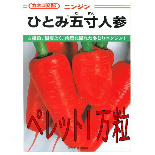 【入荷次第出荷】カネコ種苗 ひとみ五寸人参 ペレット10000粒