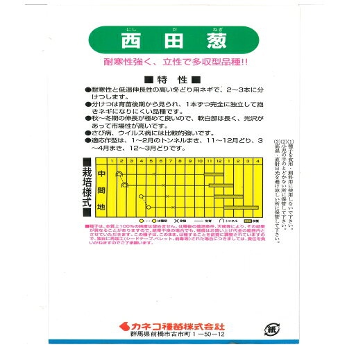 【入荷次第出荷】カネコ種苗　西田葱　20ml