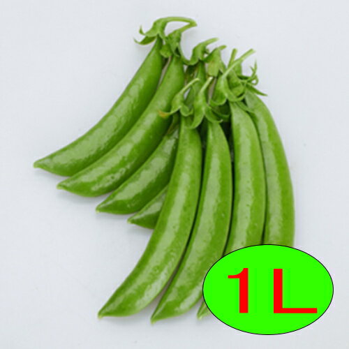 ※時期によっては出荷までにお時間を頂く場合がございます。又、季節もの、流動的な商品の為品切れの場合もございますので申し訳ございませんがその場合キャンセルさせていただきます。 ※場合によってはメーカー直送になることもございますので予めご了承く...