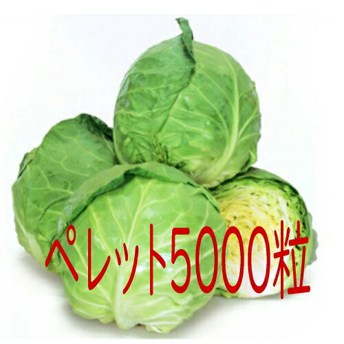 Rakuten - 【入荷次第出荷】カネコ種苗　爽月キャベツ　ペレット5000粒