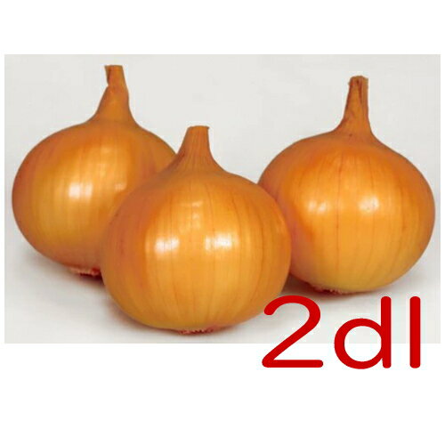 【入荷次第出荷】カネコ種苗　スワロー　玉葱　2dl