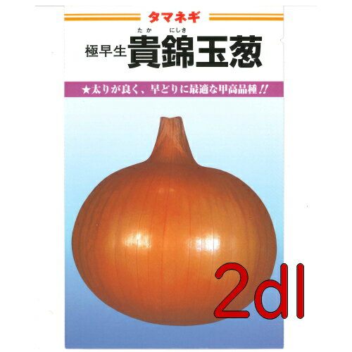 【入荷次第出荷】カネコ種苗　貴錦　玉葱　2dl