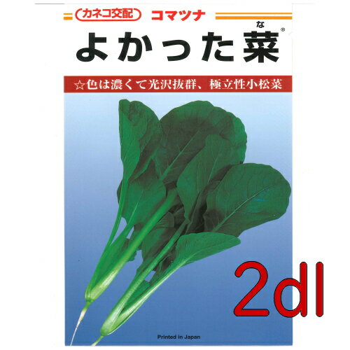 【入荷次第出荷】カネコ種苗　よかった菜　小松菜　2dl