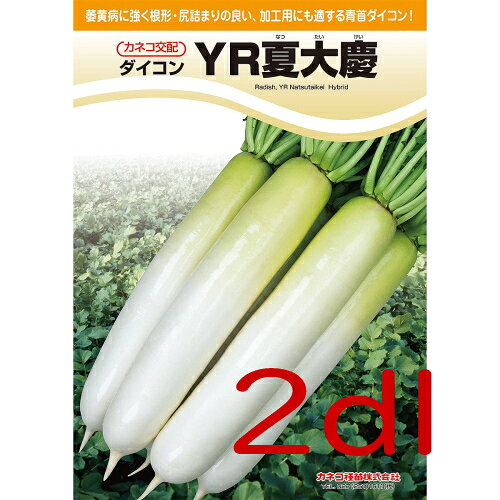 ※時期によっては出荷までにお時間を頂く場合がございます。又、季節もの、流動的な商品の為品切れの場合もございますので申し訳ございませんがその場合キャンセルさせていただきます。 ※メーカー出荷準備が整い次第、直送になりますので予めご了承ください。 ※直送品のため、他の商品と同梱、代引きはできかねます。 特性 ●根形は尻詰まりの良い総太り型となり、曲がりは少なく、適作型で根長35cm程度となります。 ●首部はやや淡い鮮緑色、肌はなめらかで、ひげ根は細く、す入りは遅いです。 ●晩抽性で、草姿は立性、草勢はおとなしいです。 ●萎黄病に特に強く、裂根等の障害は少ないです。 ●作型は、冷涼地の5月後半〜6月まきマルチ栽培、中間地・暖地の3月後半まきトンネル栽培、4月上中旬まきマルチ栽培等に適しています。