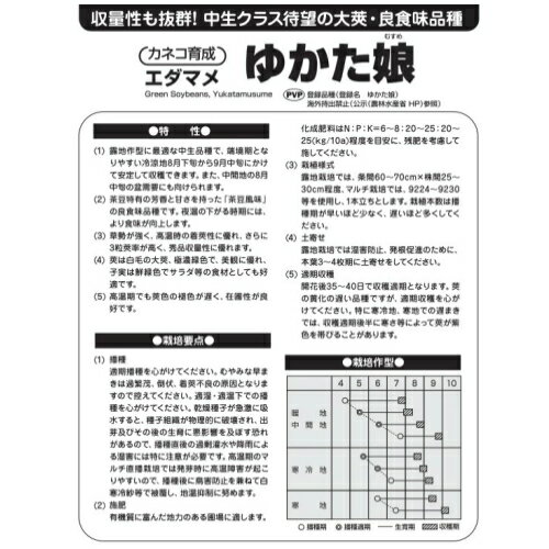 カネコ種苗 枝豆 ゆかた娘 2000粒　種子