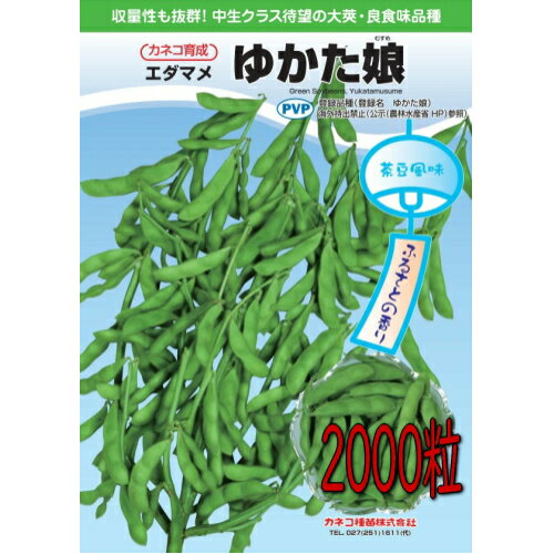 カネコ種苗 枝豆 ゆかた娘 2000粒　種子