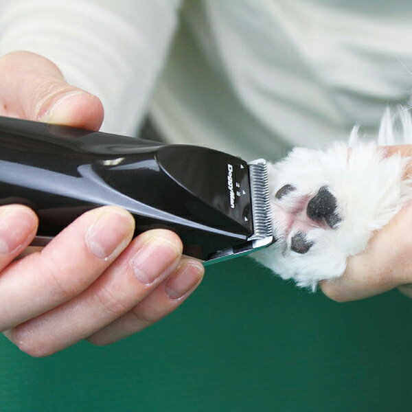 トキワダイレクトのホームバーバープロフェッショナル コンパクト｜アングル3