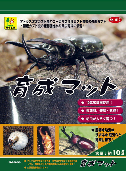 外産カブト虫(アトラス・コーカサス・ヘラクレス)から国産カブト虫の産卵から幼虫・幼虫からサナギ・サナギから成虫への育成、羽化率をUPさせる為、天然広葉樹材に発酵菌を添加し、長時間、発酵熟成させたマットです。 【材質】 天然広葉樹材 【原産国または製造地】 日本 【諸注意】 ※本品は外産、国産カブト虫用飼育マットです。 ※他の目的及び対応生体以外には使用しないで下さい。 ※菌糸(カビのような糸状の物)が発生する場合がありますが問題ありませんのでよく揉んでほぐしてからご使用下さい。 ※薬剤等使用していないのでマットに虫がつく場合があります。 ※その場合マットを広げ天日干しにするか冷凍駆除させてからご使用下さい。 ※幼児の手の届かない、また直射日光の当たらない涼しいところに保管下さい。 ※本品が再発酵してマットに熱を持ち発酵臭がする場合はマットを別な場所で広げ冷ましてからご使用下さい。