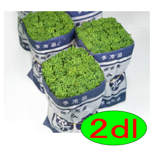 【入荷次第出荷】カネコ種苗　CR春華　2dl