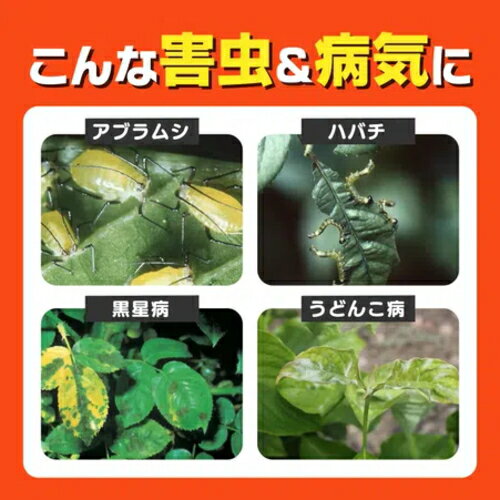 キンチョー園芸　ベニカXスプレー　1000ml　15個セット