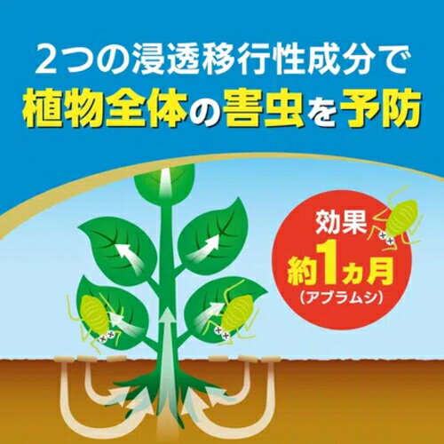 キンチョー園芸　オルトランDX粒剤　1kg　12袋セット