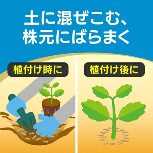 キンチョー園芸　オルトランDX粒剤　1kg　12袋セット