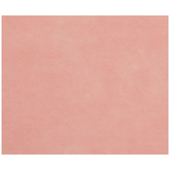 アポロ衛材　ディスポ防炎カーテン　面ファスナー式190　ピンク 　　4951105113323