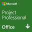 ޥե Project Professional 2021