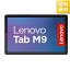 Lenovo ZAC30178JP タブレット Tab M9 アークティックグレー[10000円キャッシュバック]