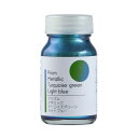 ガイアノーツ 31221 プリズムメタリック ターコイズグリーンライトブルー 30ml （ZV121843)