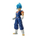 バンダイスピリッツ Figure-rise Standard ドラゴンボール超 超サイヤ人ゴッド超サイヤ人ベジット プラモデル （ZP130034）