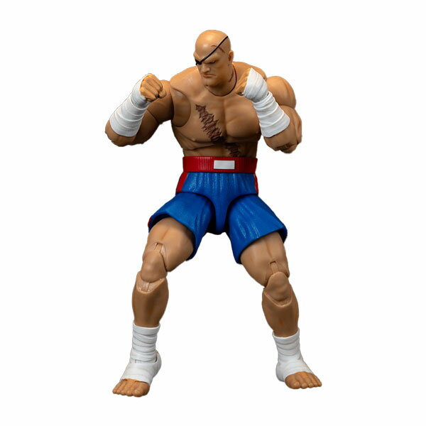 楽天市場】サガット ストリートファイターの通販